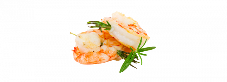 alte-fischerei_zeutern_garnelen_rosmarin